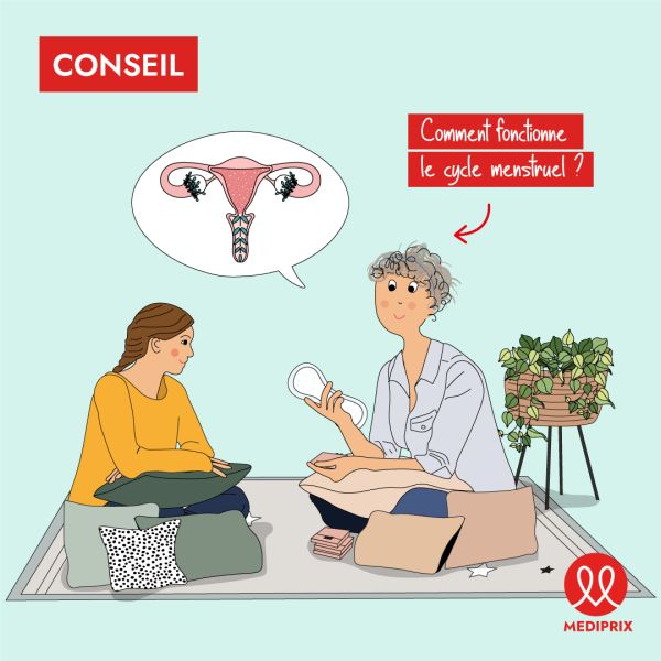 Comment fonctionne le cycle menstruel ? 🤔
