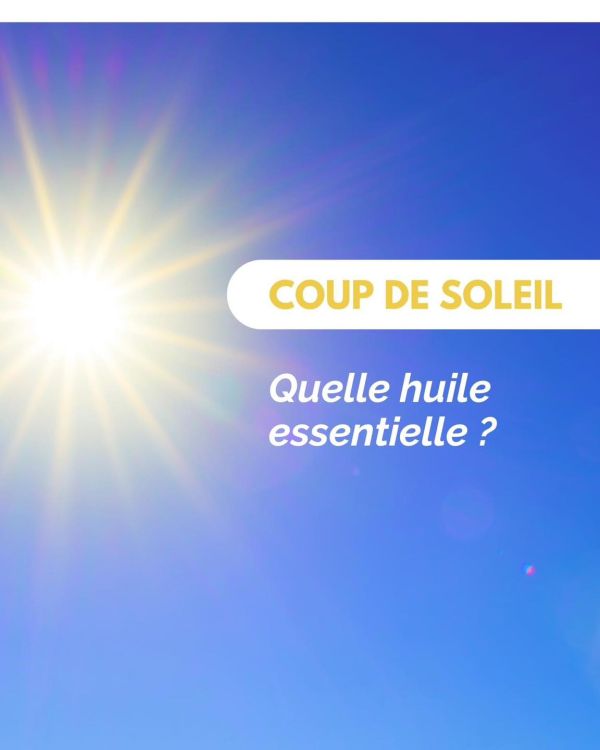 En cas de coup de soleil, l'huile essentielle la plus efficace sera celle de Lavande Aspic ☀️