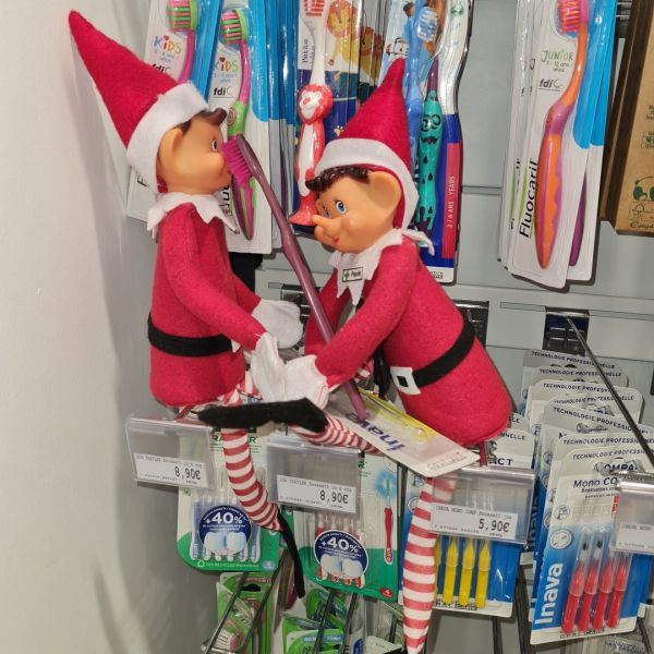 Séance de brossage des dents réalisée par Pépite ce matin