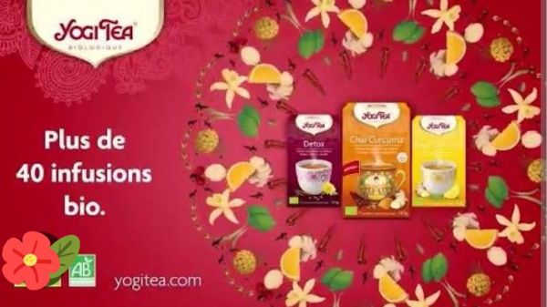 Un petit moment de cocooning avec les infusions Yogi Tea 🫖☕️